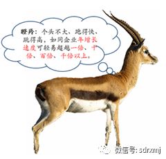 平博客服_平博(中国)

